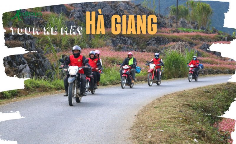 MEDITOURS HA GIANG: MOTORCYCLE ADVENTURE - TREKKING TO DISCOVER HOANG SU PHI 2