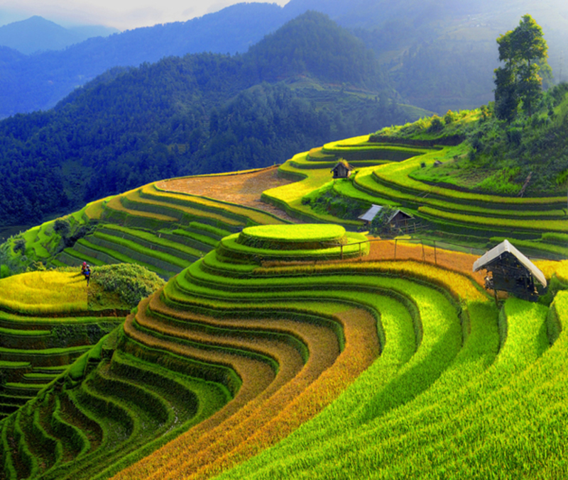 Best time to join Mu Cang Chai Tours 2 