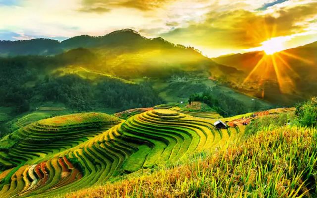 Best time to join Mu Cang Chai Tours