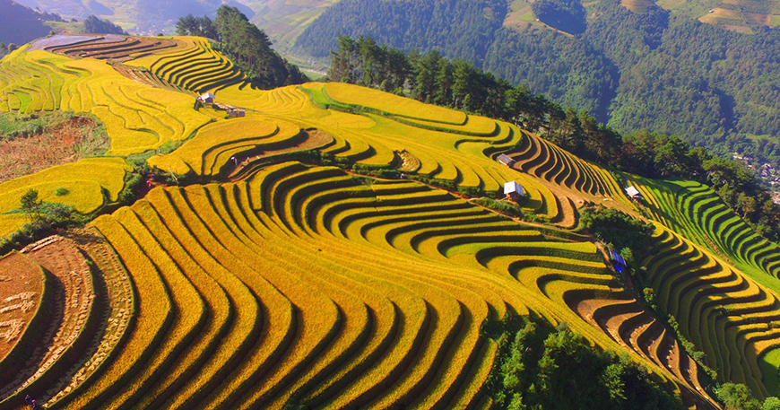 What's beautiful about going to Mu Cang Chai in spring