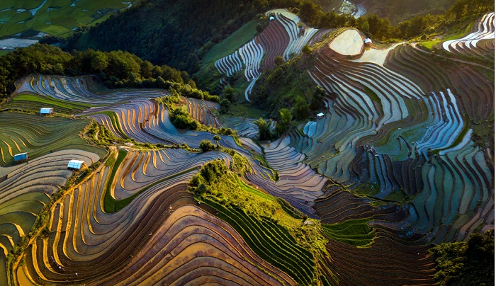 What's beautiful about going to Mu Cang Chai in winter