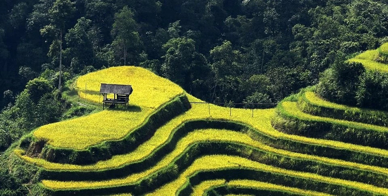 introducing hoang su phi ha giang 