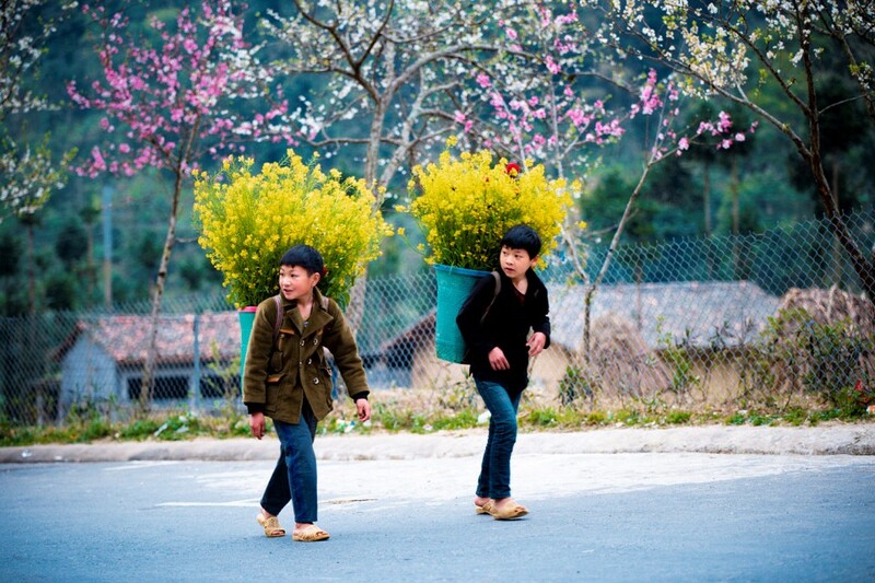 overview of ha giang weather