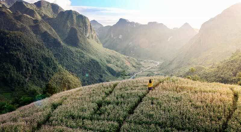 introduction to sung la valley