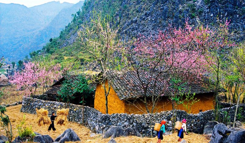 ha-giang-3-days-2-nights-3